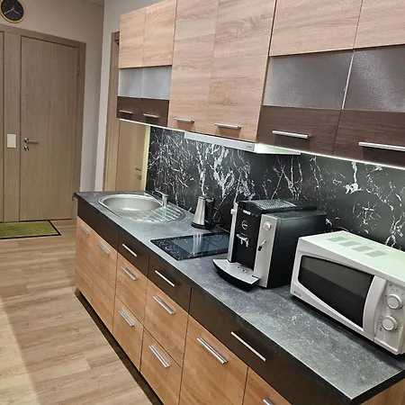 Daire Kauno Apartamentai Big Bed *