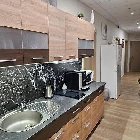 Kauno Apartamentai Big Bed Daire *