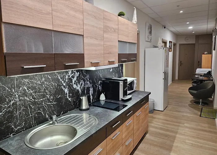 Kauno Apartamentai Big Bed Daire *